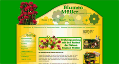 Desktop Screenshot of blumenshopping.de